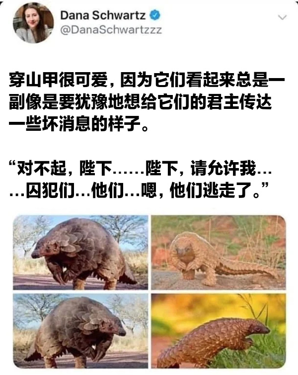 今日沙雕：小明誤食風(fēng)油精之后滿嘴風(fēng)涼話宣傳圖18