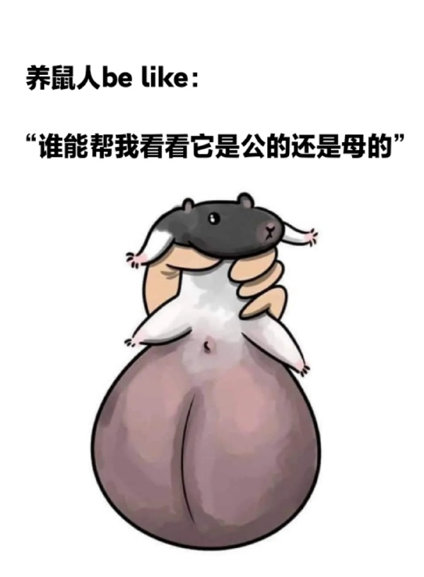 今日沙雕：小明誤食風(fēng)油精之后滿嘴風(fēng)涼話宣傳圖21