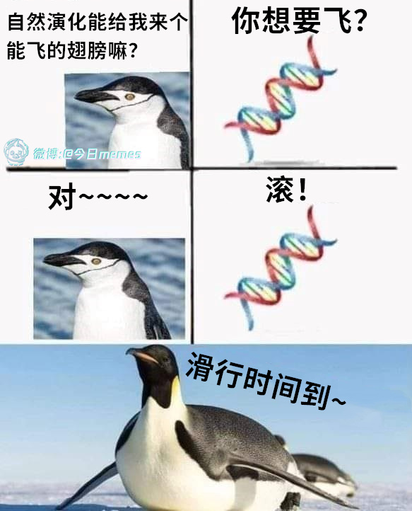 今日沙雕：小明誤食風(fēng)油精之后滿嘴風(fēng)涼話宣傳圖80