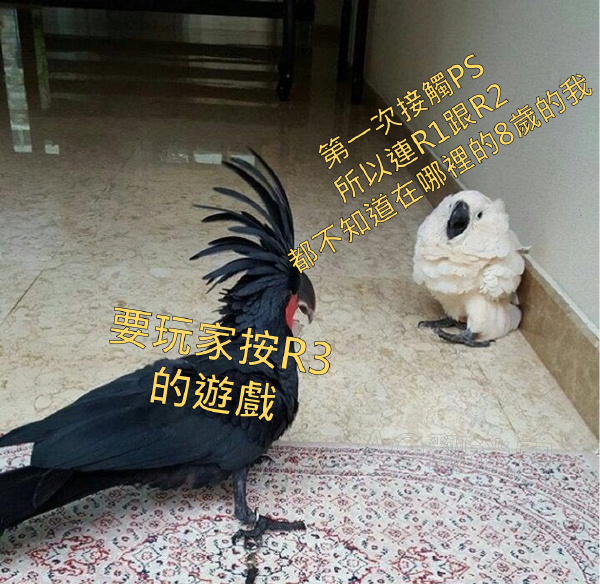 今日沙雕： “我要打十個！”小紅走進(jìn)人流手術(shù)室宣傳圖6