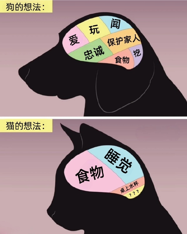 今日沙雕： “我要打十個！”小紅走進(jìn)人流手術(shù)室宣傳圖16