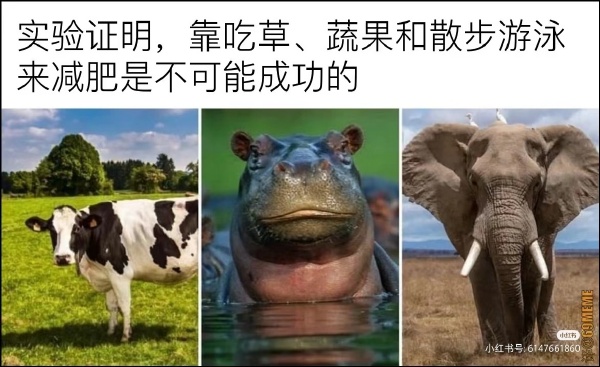 今日沙雕： “我要打十個！”小紅走進(jìn)人流手術(shù)室宣傳圖54