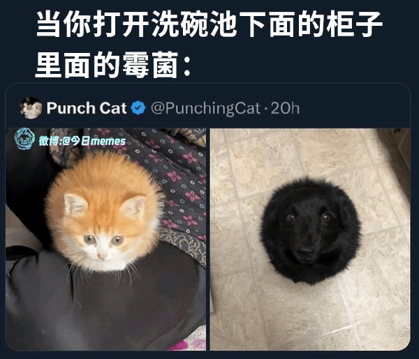 今日沙雕： “我要打十個！”小紅走進(jìn)人流手術(shù)室宣傳圖89