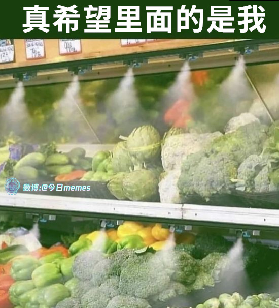 今日沙雕： “我要打十個！”小紅走進(jìn)人流手術(shù)室宣傳圖91