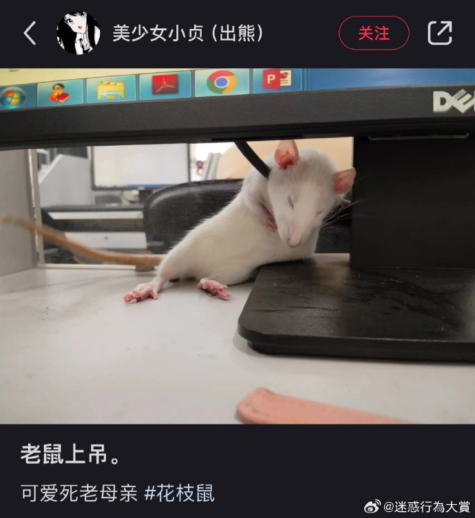 今日沙雕：建議美國把26個字母改成25個字母，因為n是反u的宣傳圖143