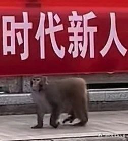 今日沙雕：建議美國把26個字母改成25個字母，因為n是反u的宣傳圖140